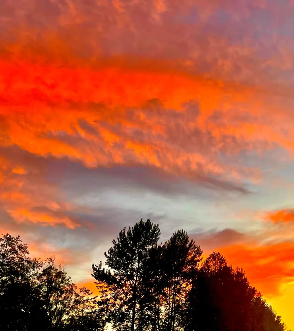 Fiery Twilight