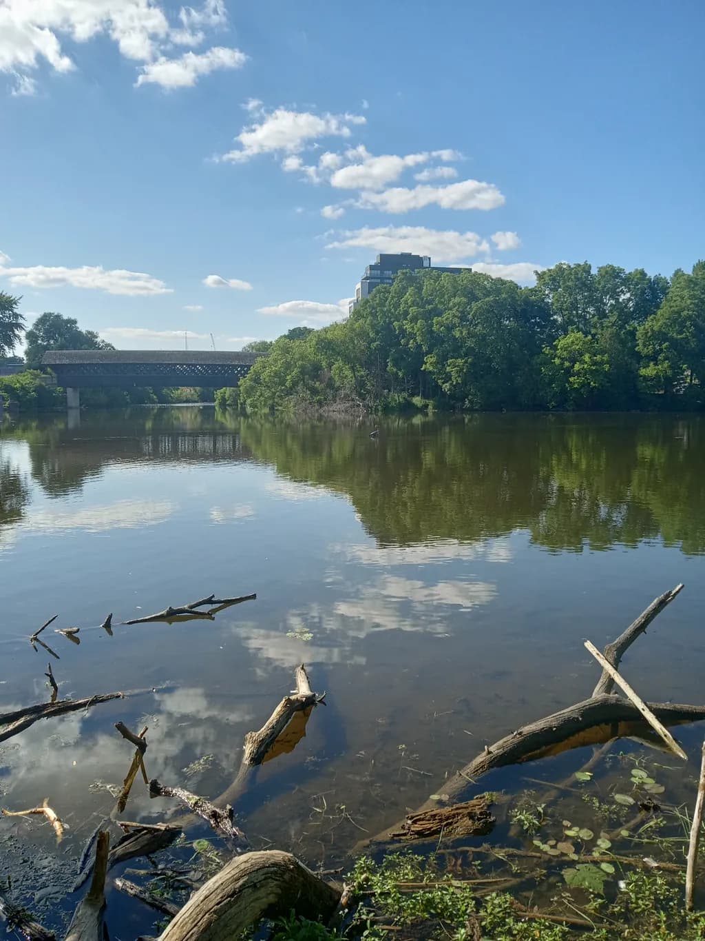 Calm River Reflection