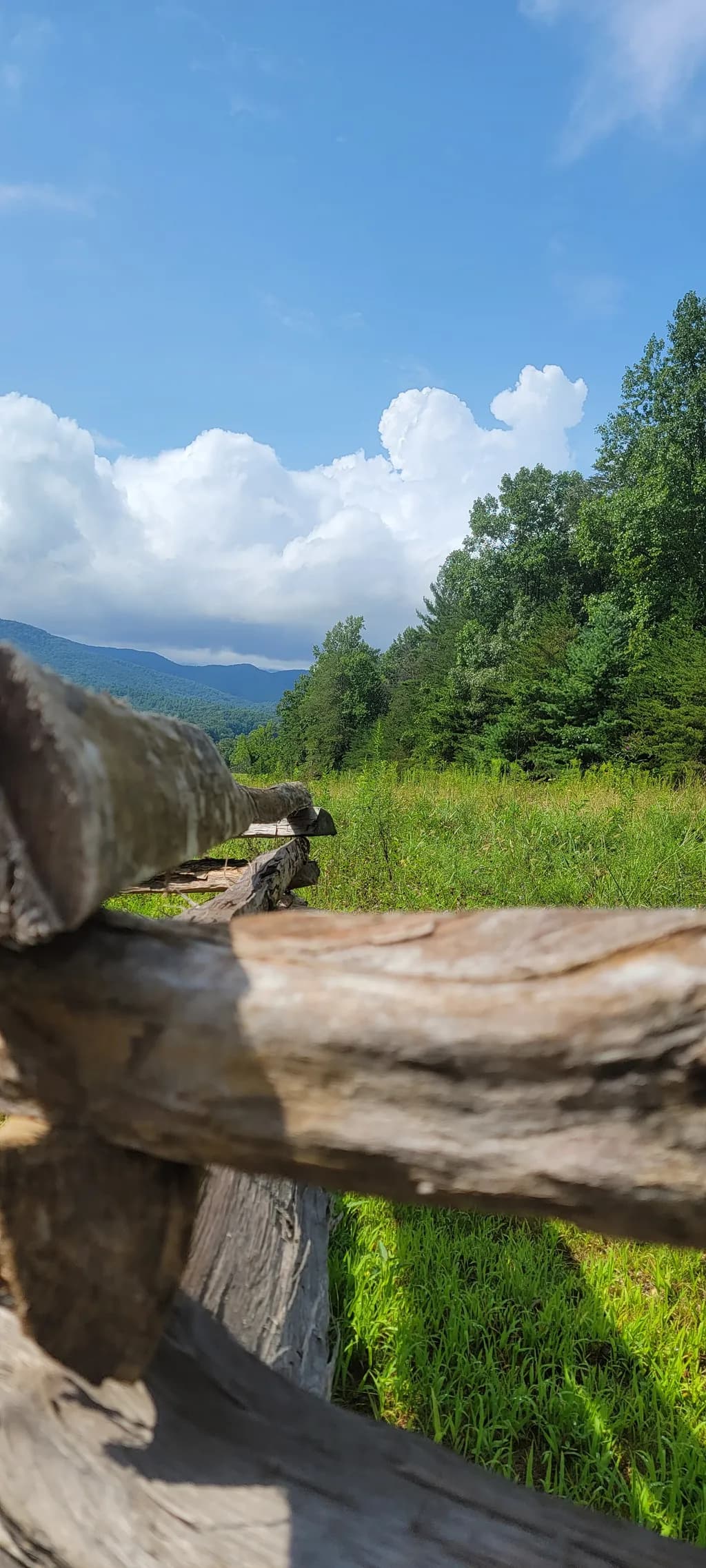 Rural Fence Viewpoint
