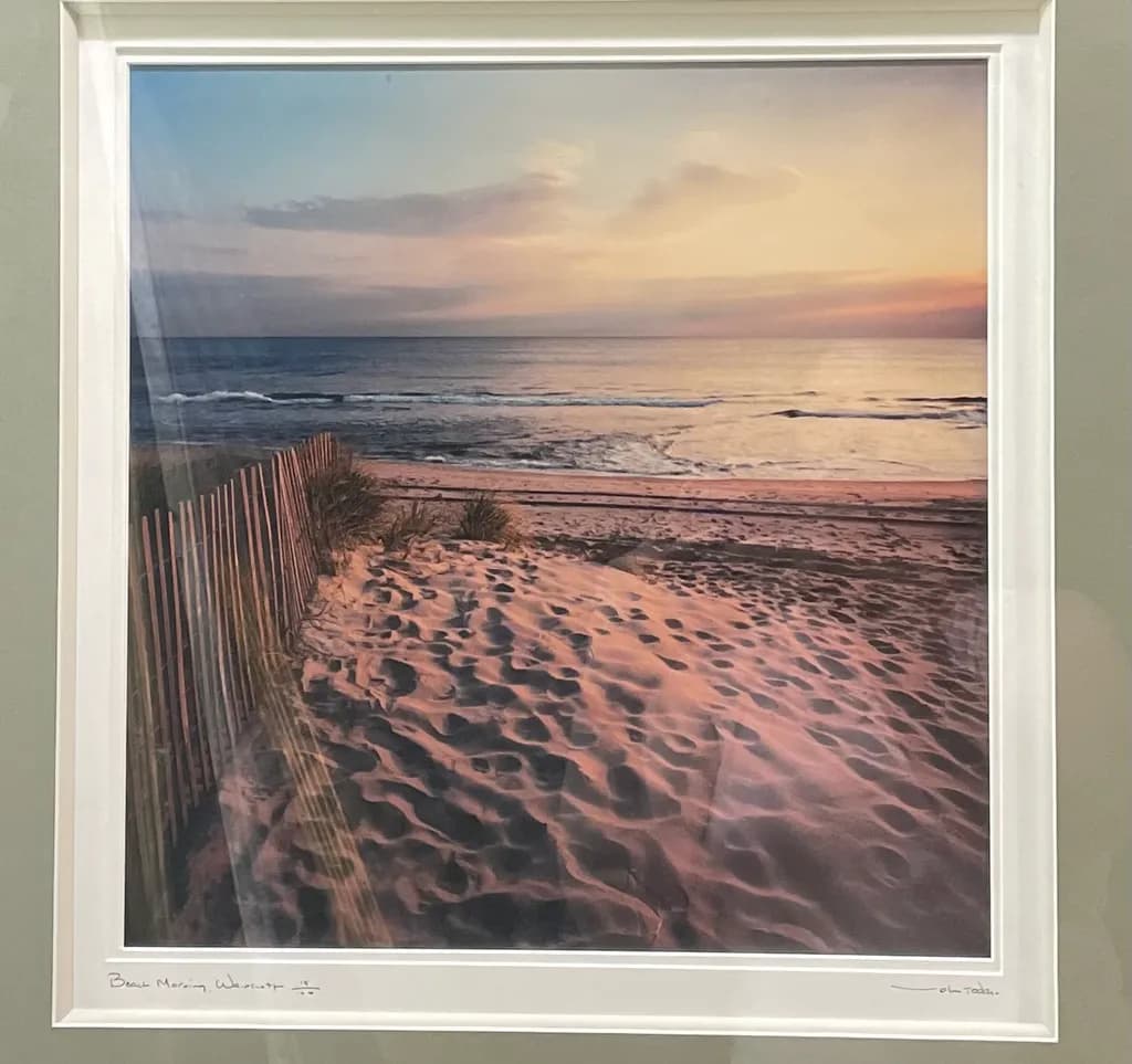 Sandy Beach Dunes