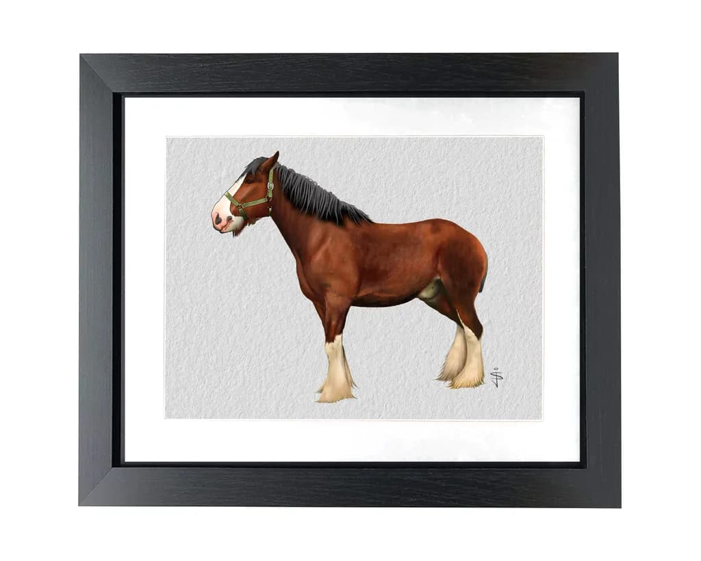 Draft Horse Profile
