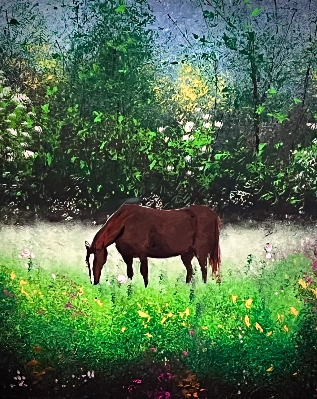 Horse in Meadow