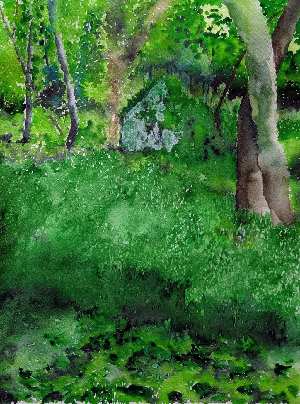 Hidden Cabin