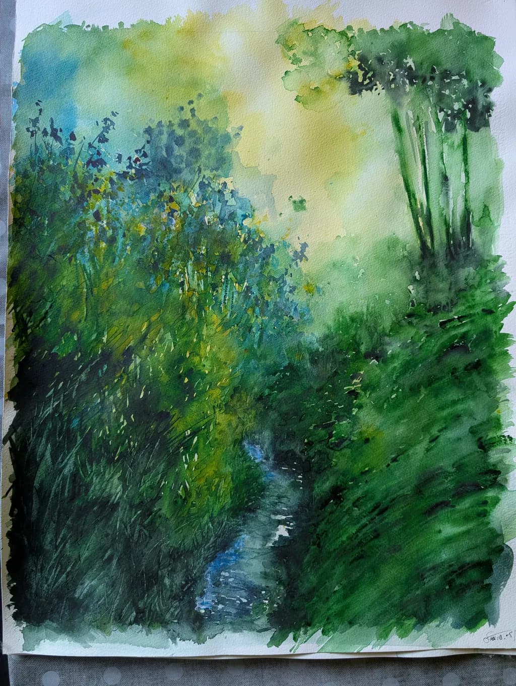 Misty Forest Path