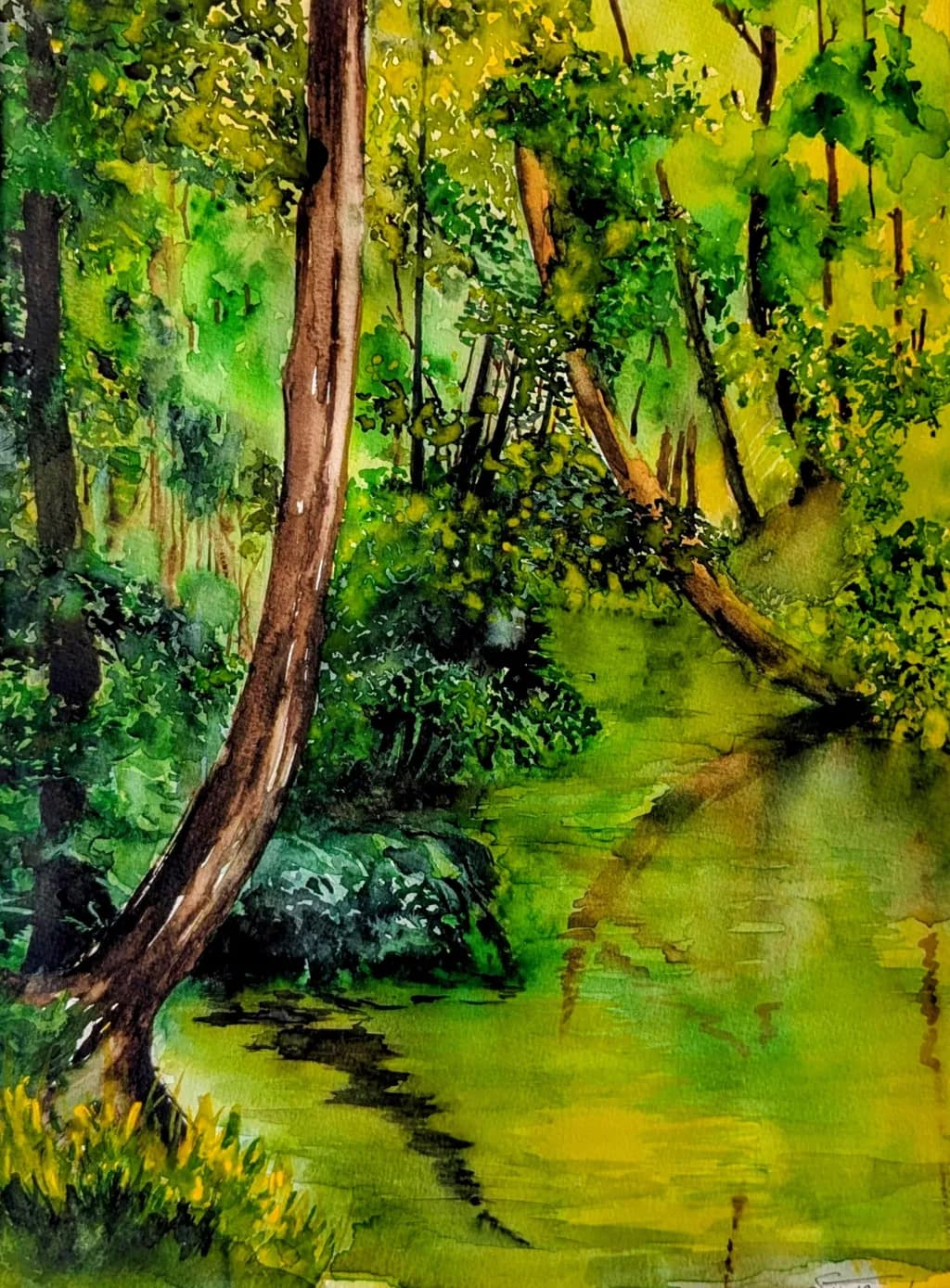 Verdant Stream