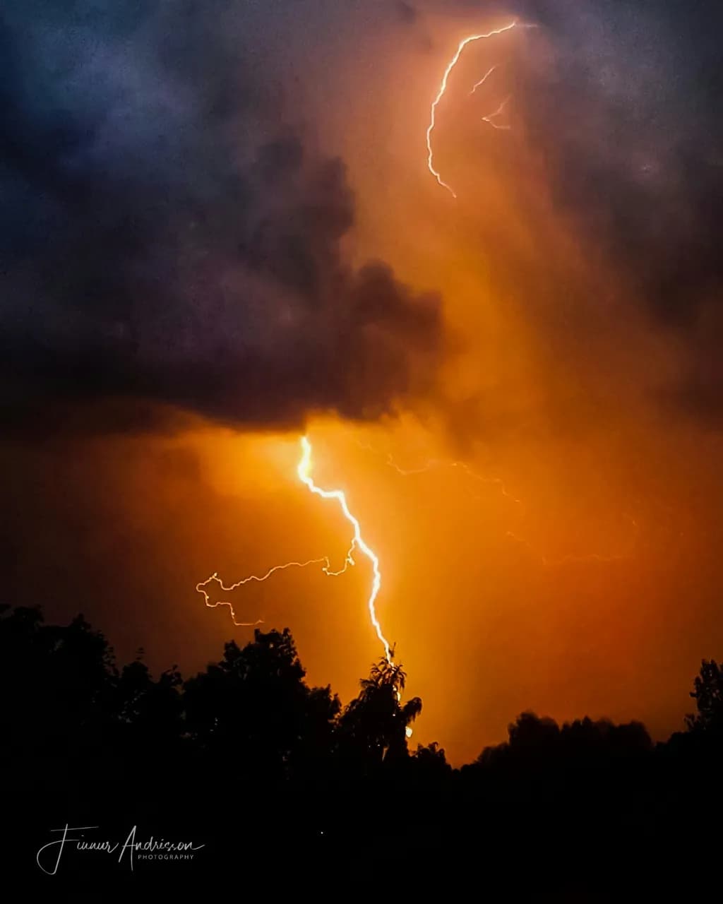 Amber Surge