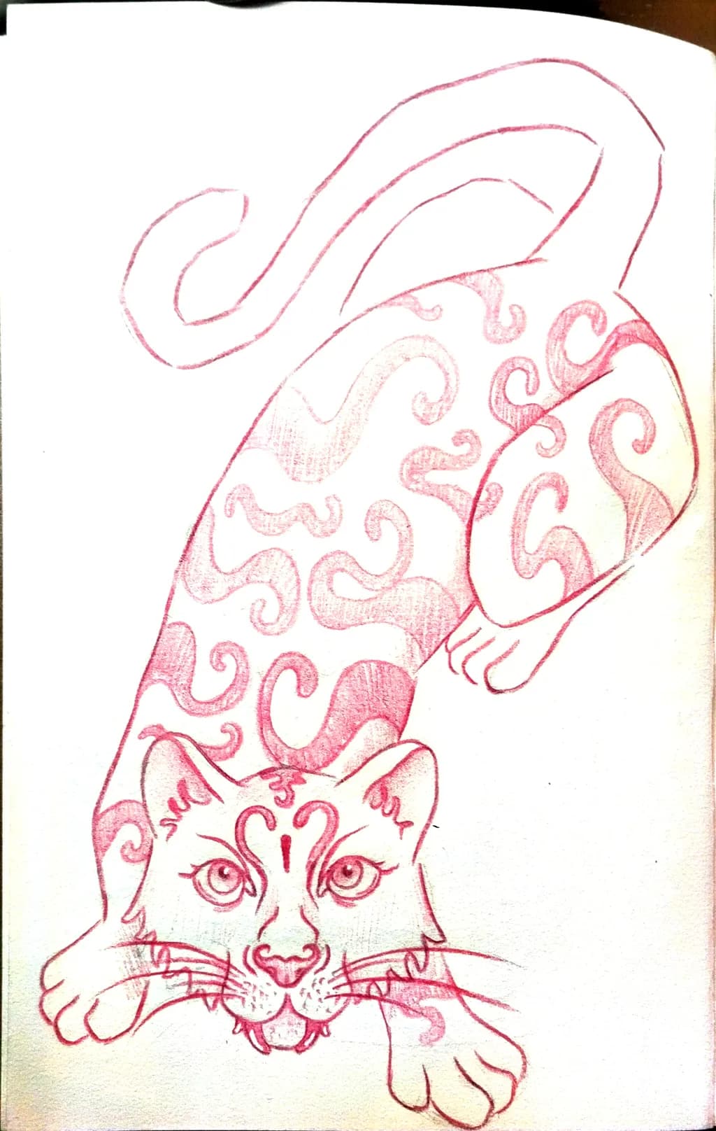 Curled Spirit Cat