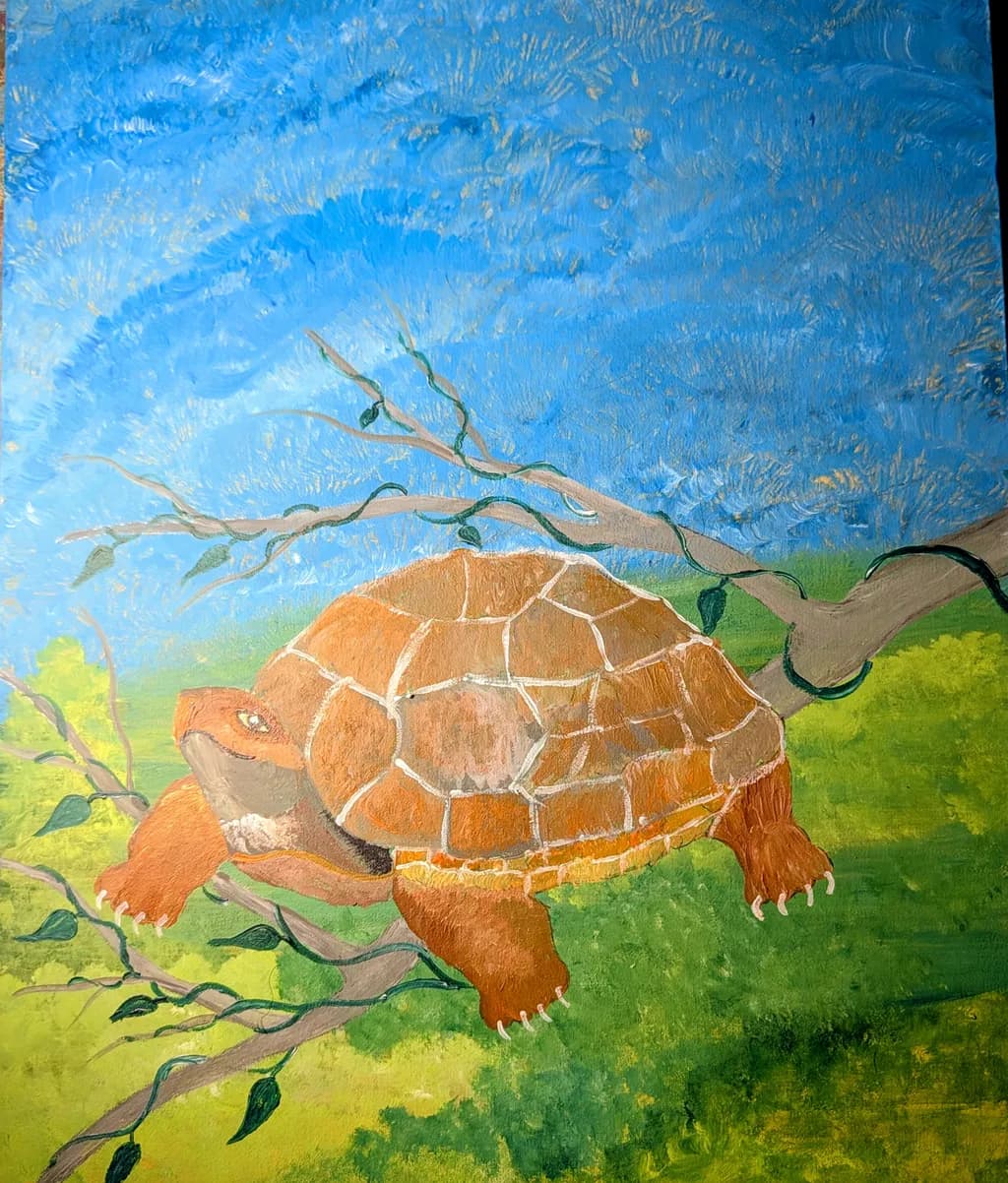 Turtle Resting