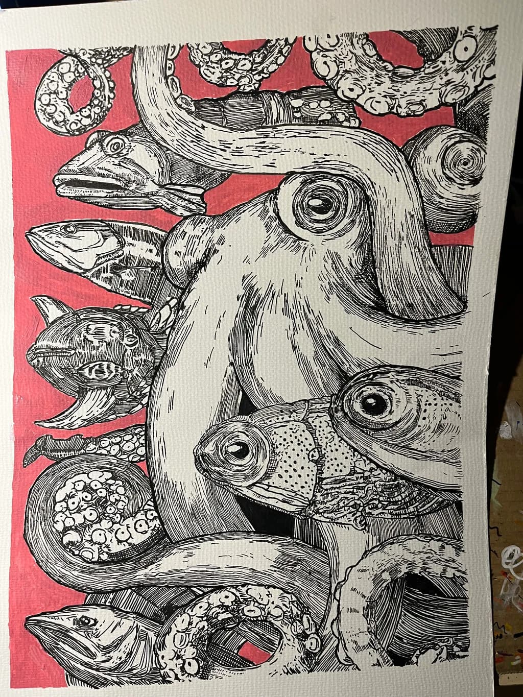 Octopus Convergence