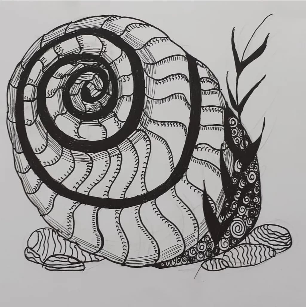 Spiral Shell