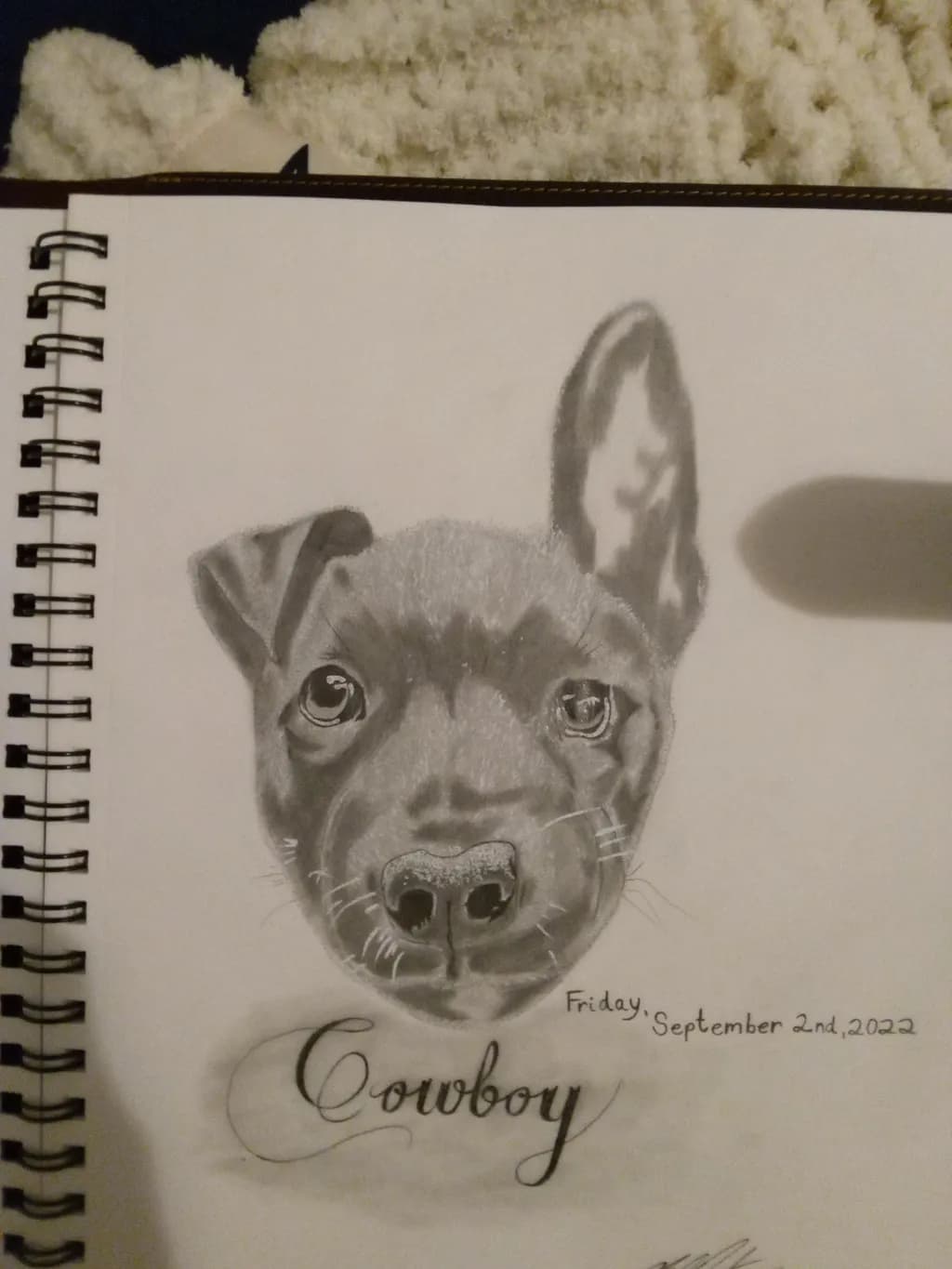 Cowboy Portrait