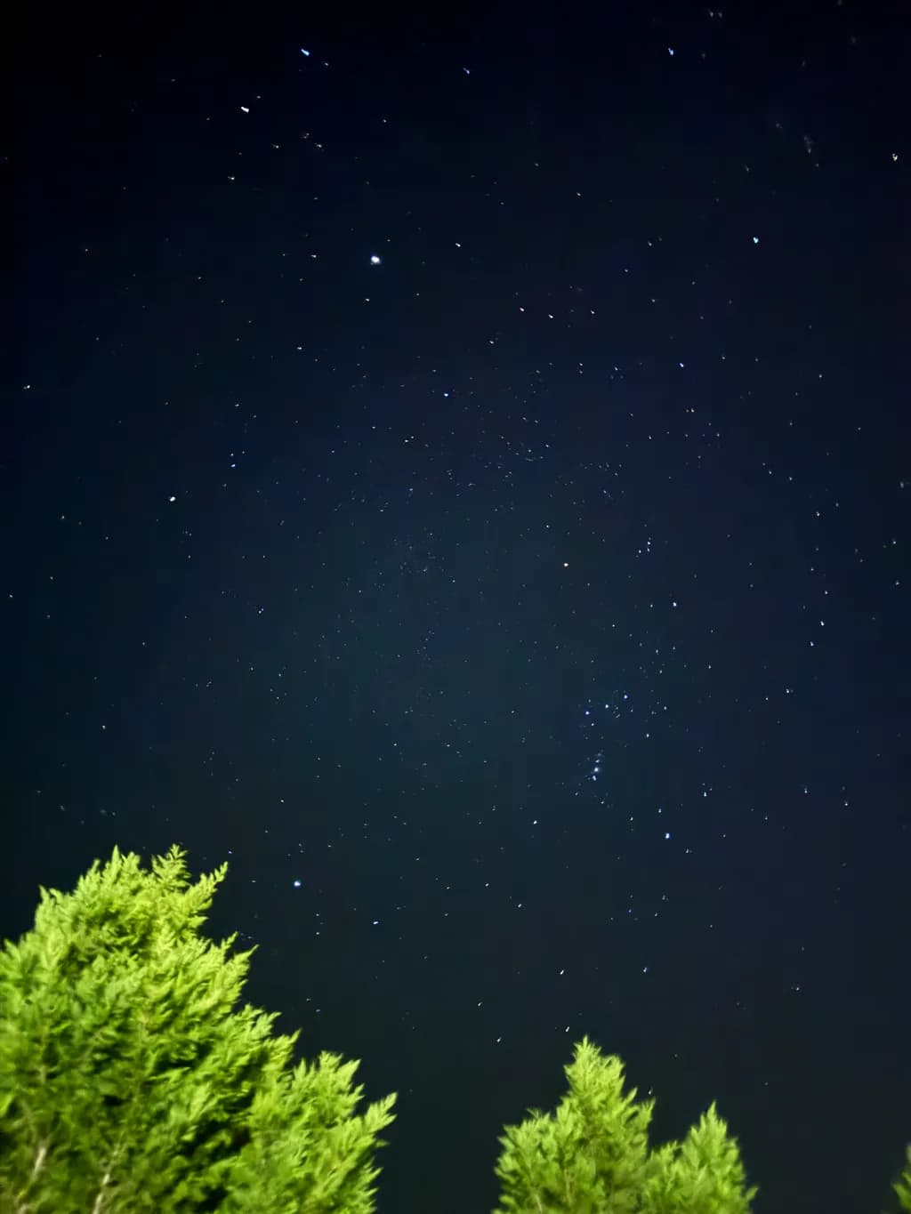 Celestial Canopy