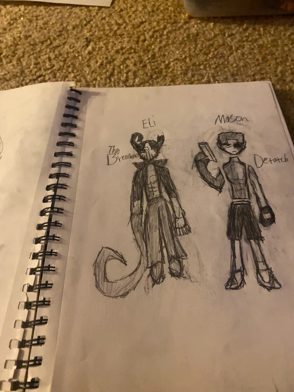 Eli and Mason: The Brooder & Detach
