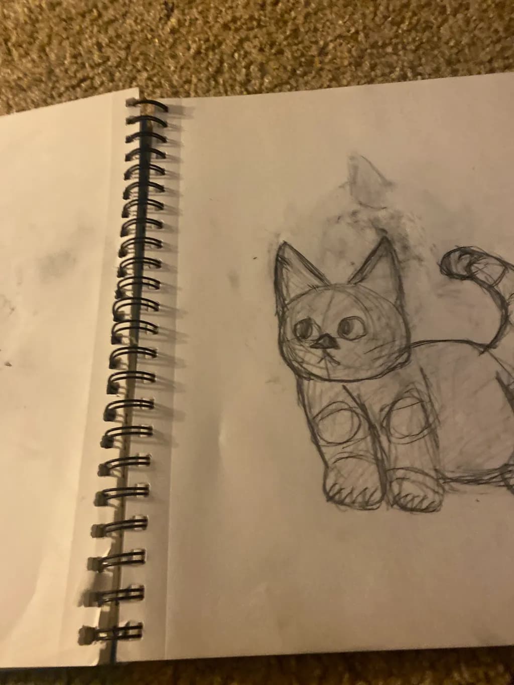 Curious Cat Sketch