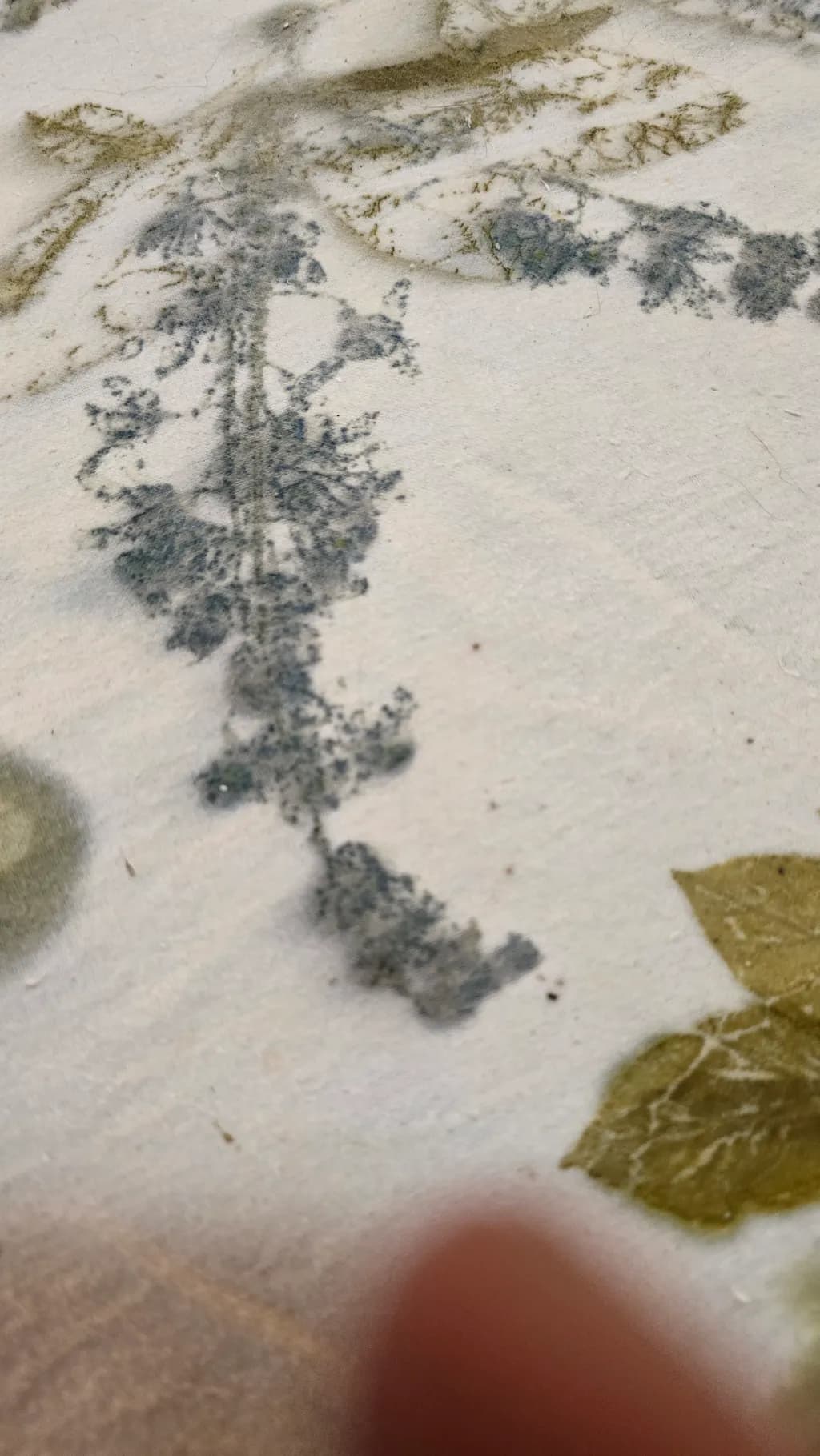 Faded Foliage