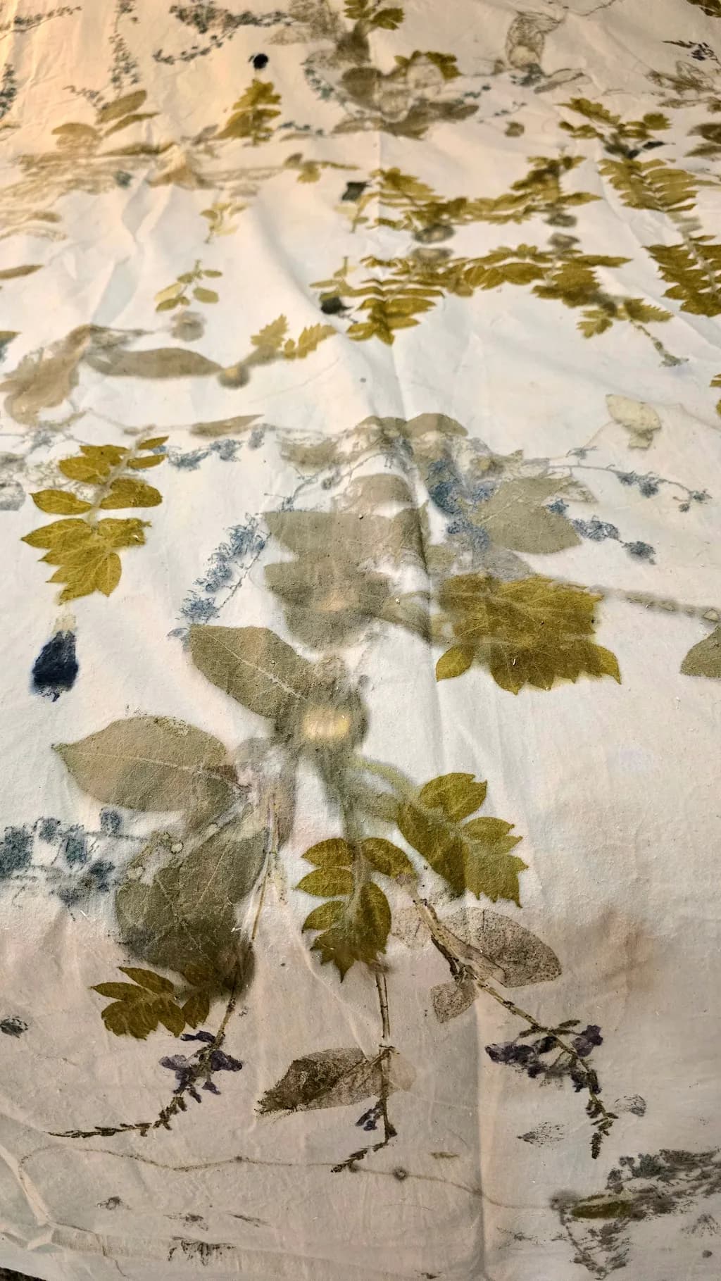 Faded Flora