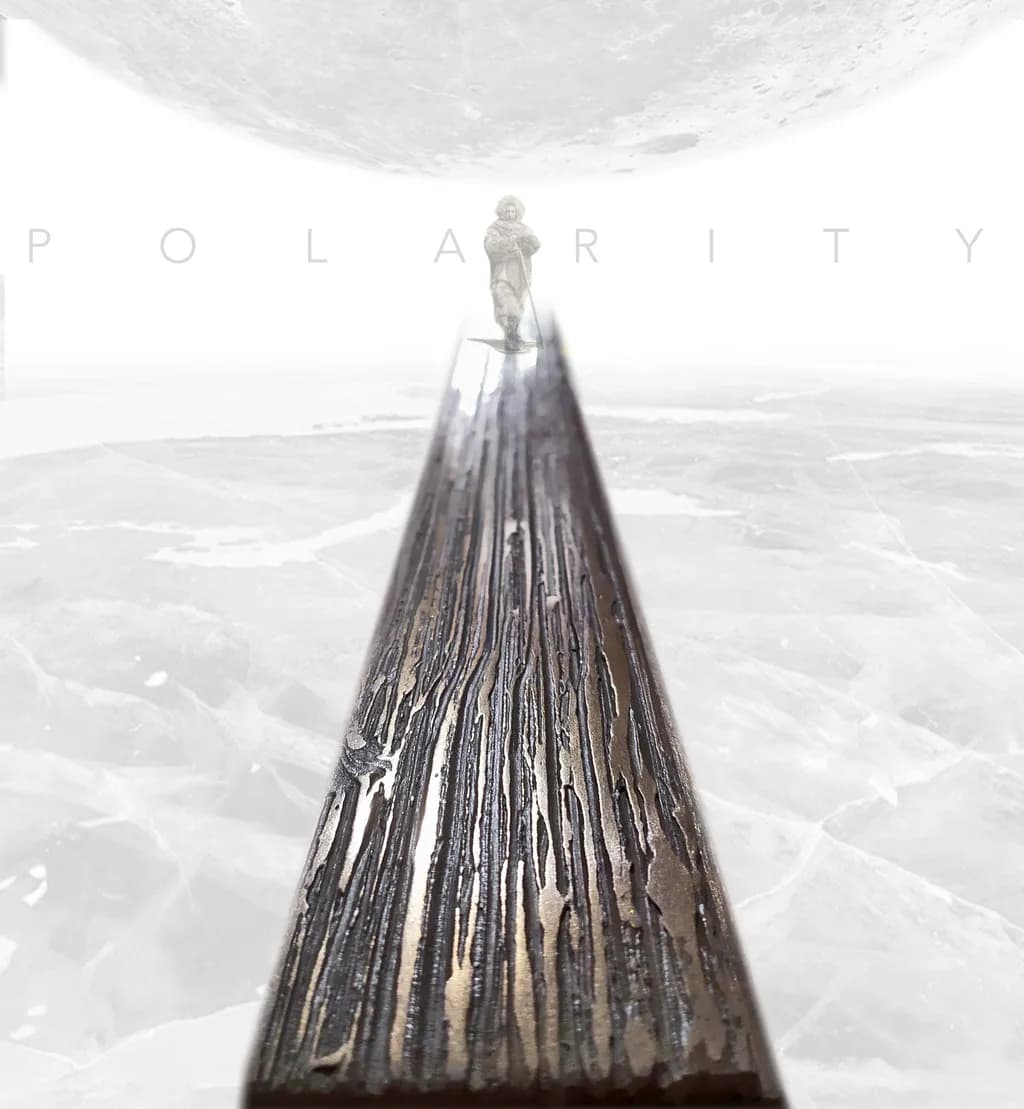 Polarity 1