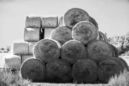 Stacked Hay Bales