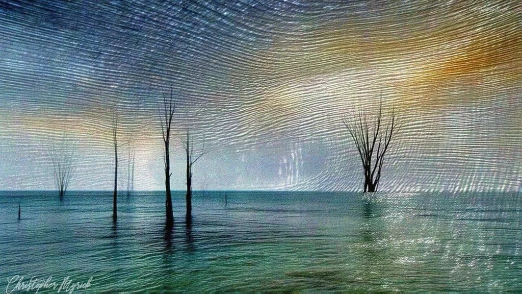 Submerged Silhouettes