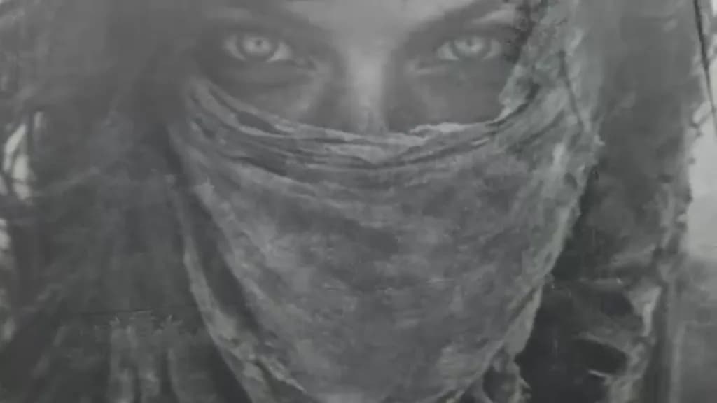 Veiled Gaze