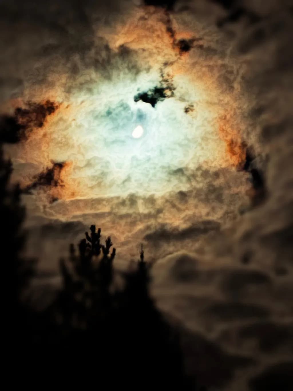 Moonlit Veil