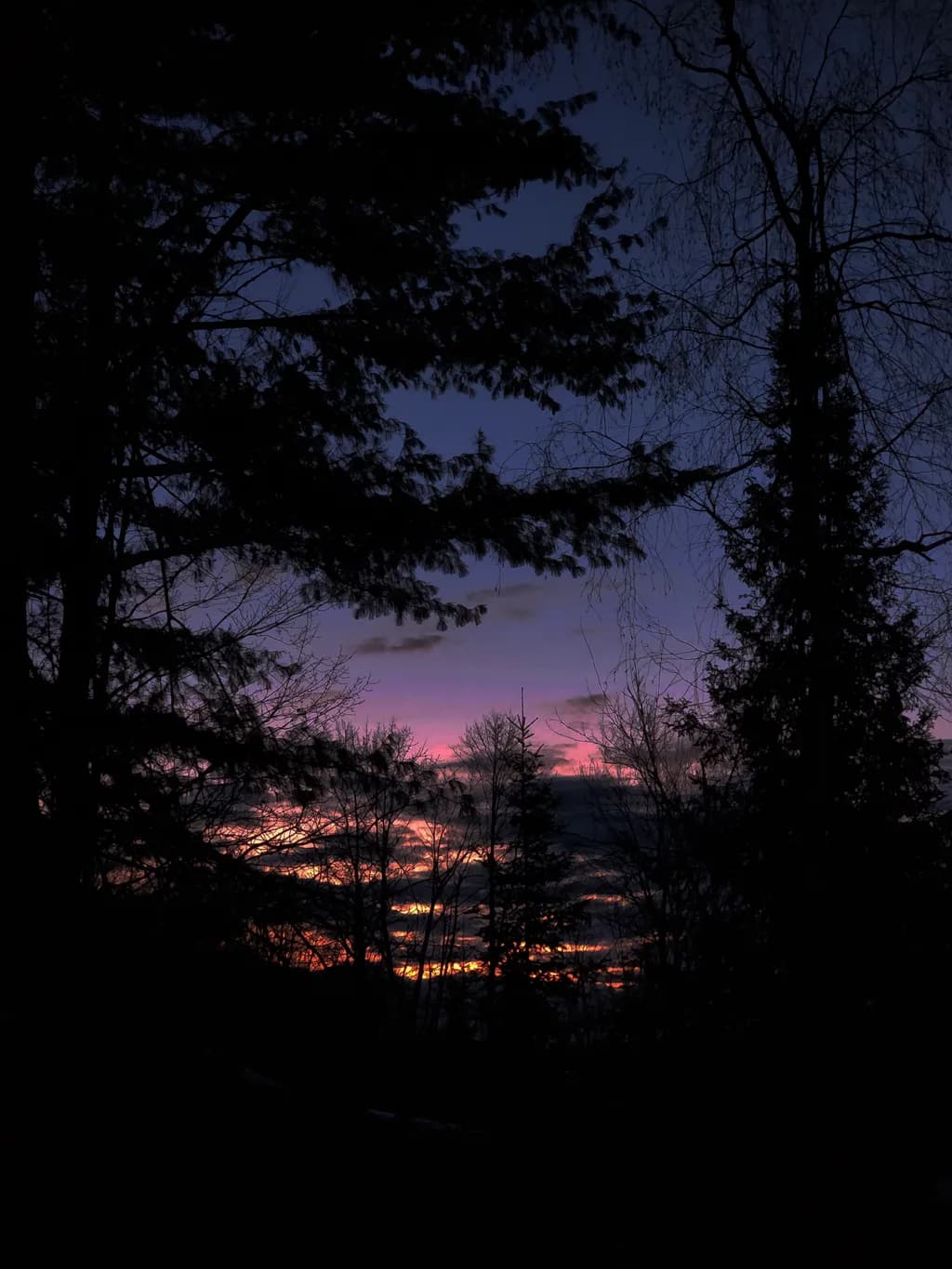 Twilight Silhouettes
