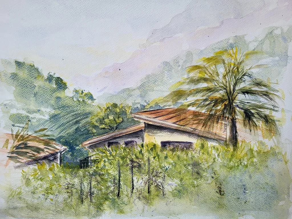 Hillside Refuge
