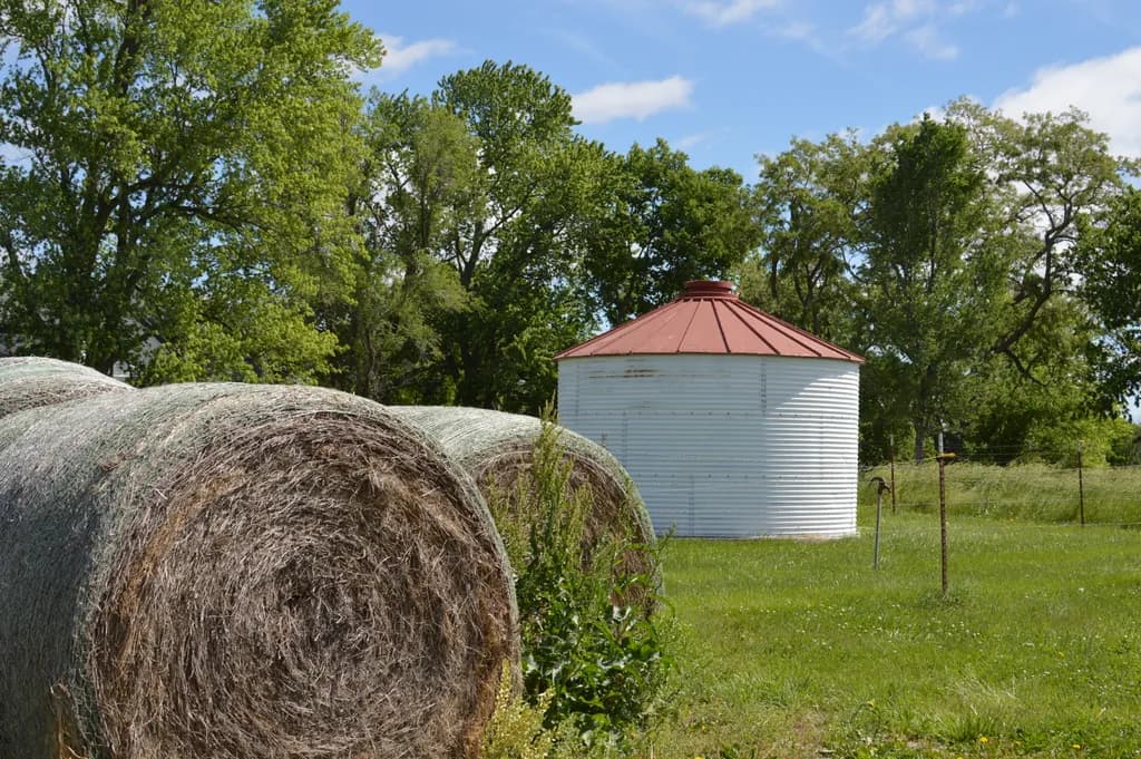 Echoes of the Harvest: A Quiet Day on the Farm