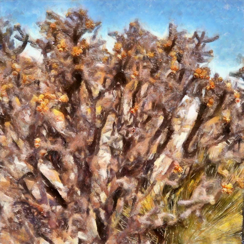 Holding Its Ground — Walkingstick Cholla Cactus
