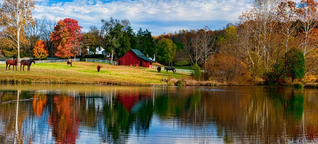 Autumn Pastures