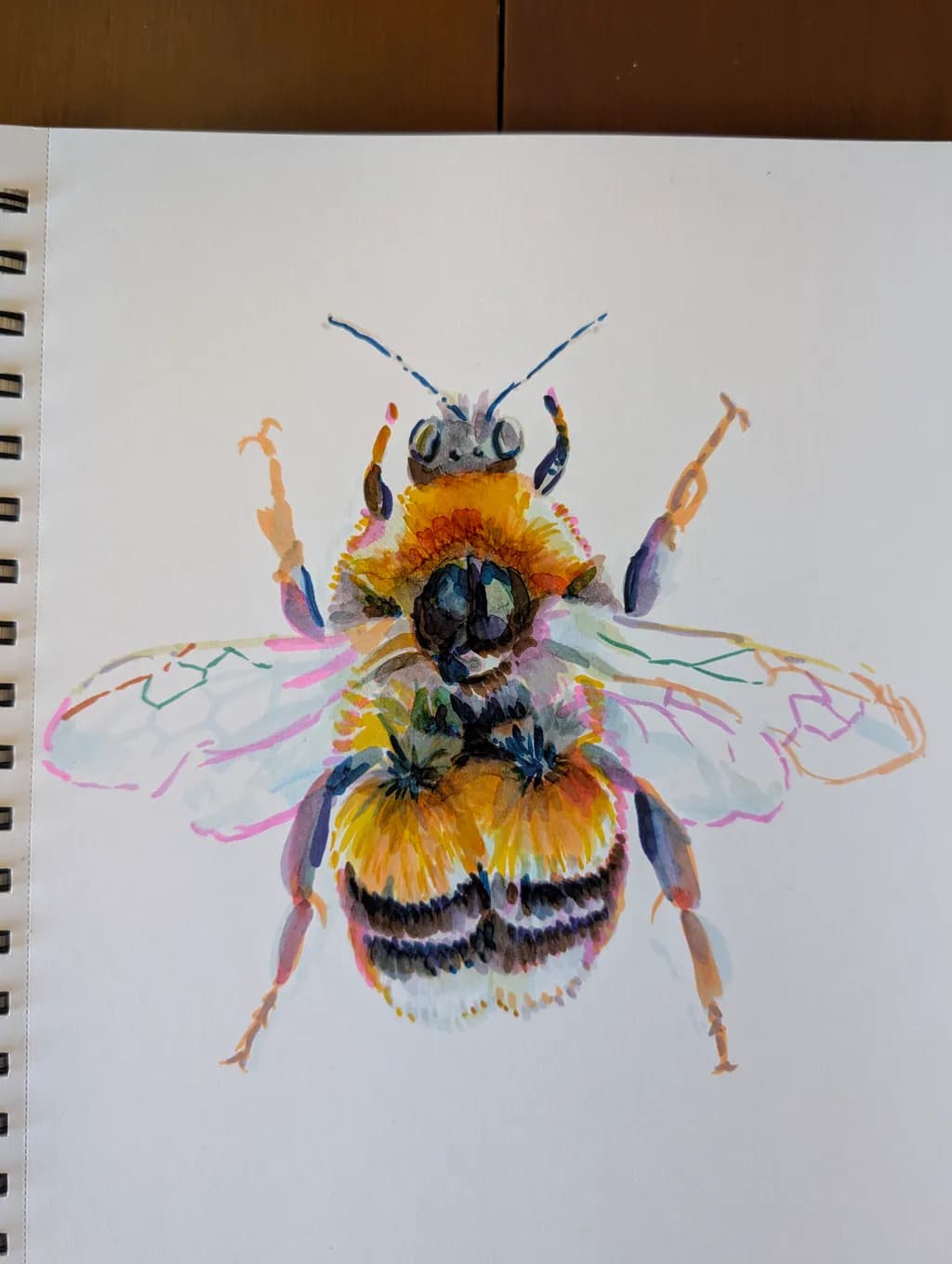 Honeybee Study