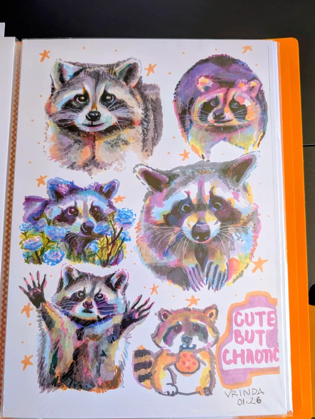 Chaotic Raccoons