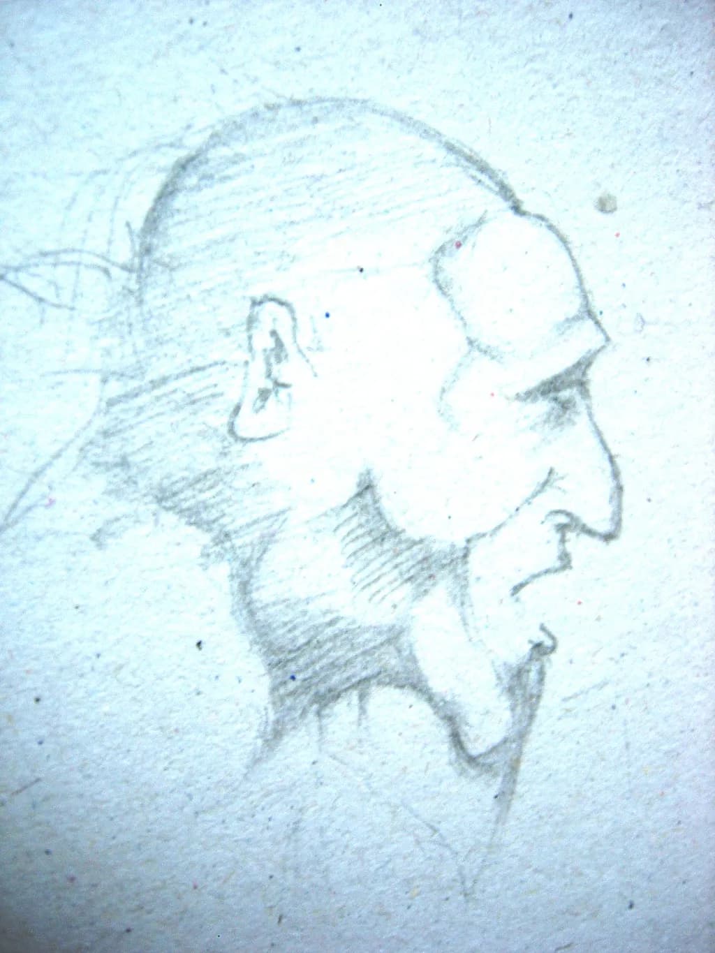 Contemplative Profile