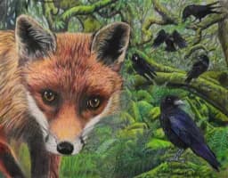 A Fox and a Murder