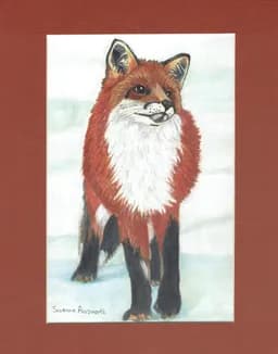 Snowfield Fox