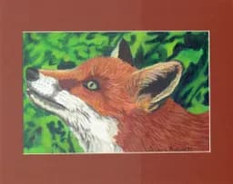 Fox Among Leaves