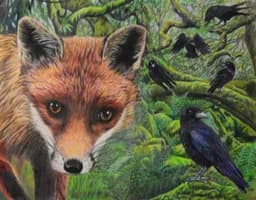 A Fox and a Murder