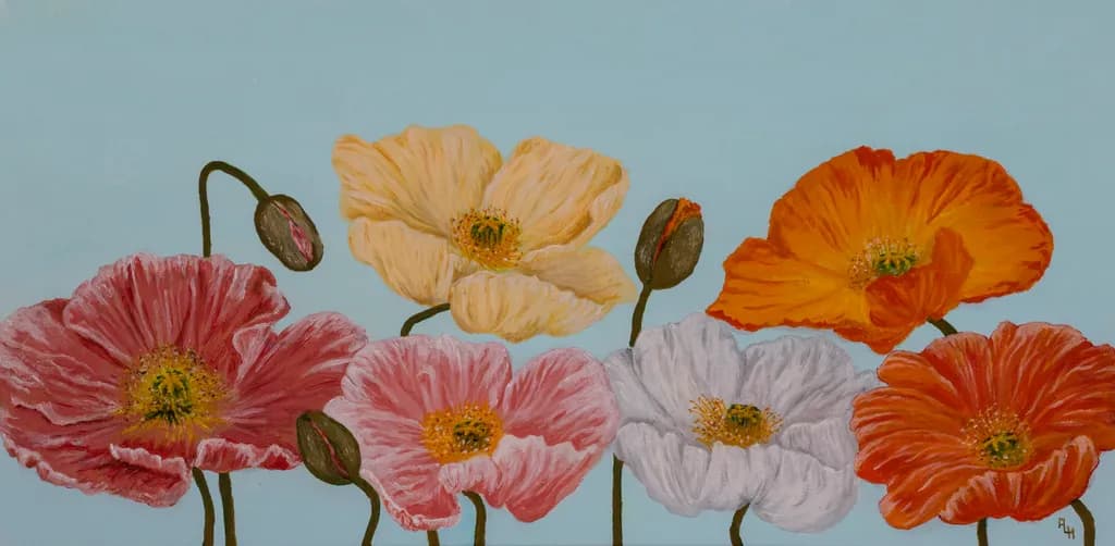 Poppy Harmony