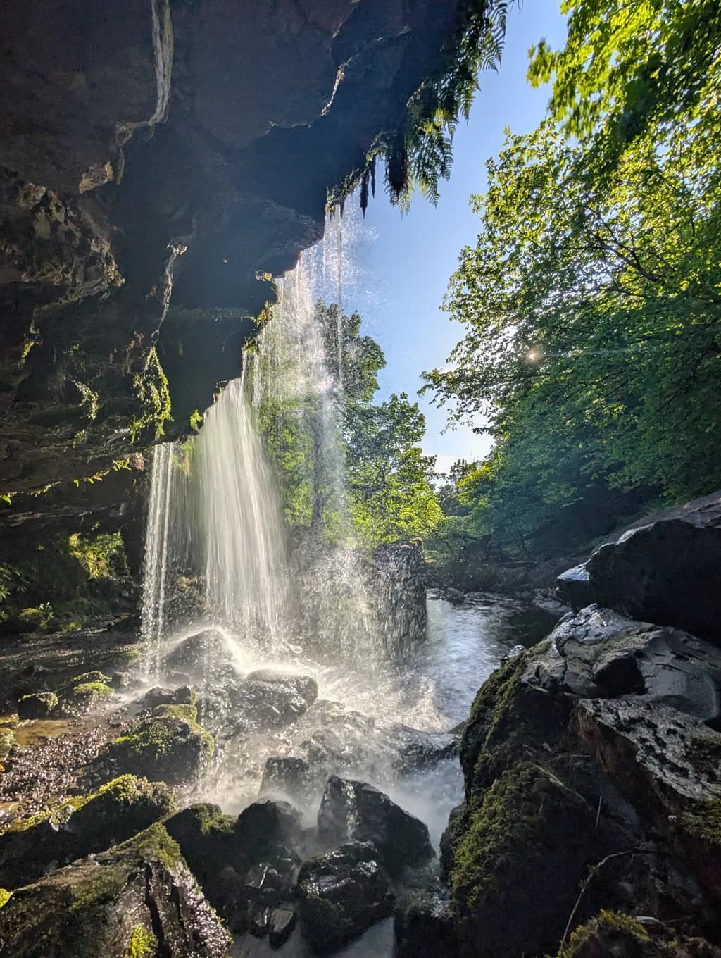 Mossy Cascade