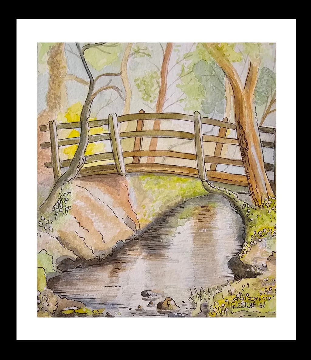Woodland Bridge Reflections