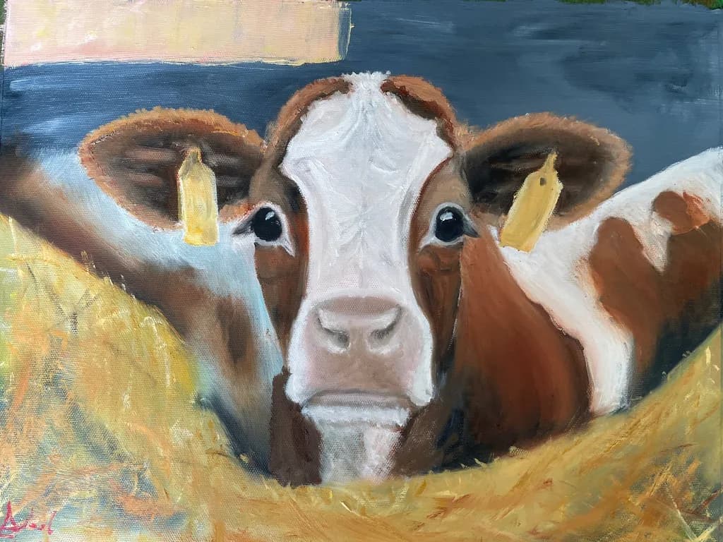 Barnyard Gaze