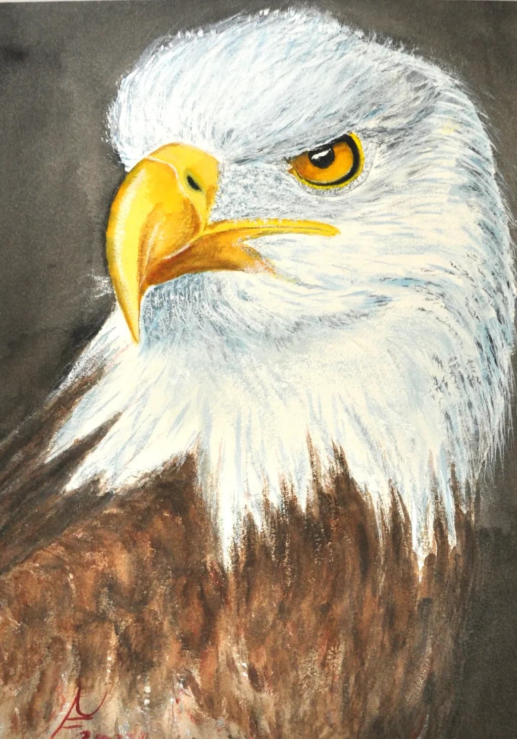 Eagle Close-Up