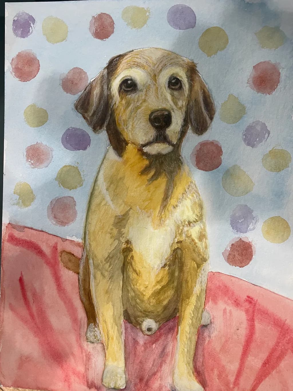 Polka Dot Companion