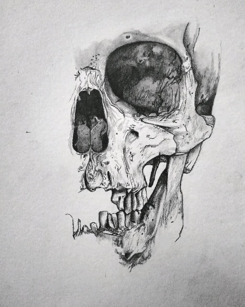 Fragmented Skull