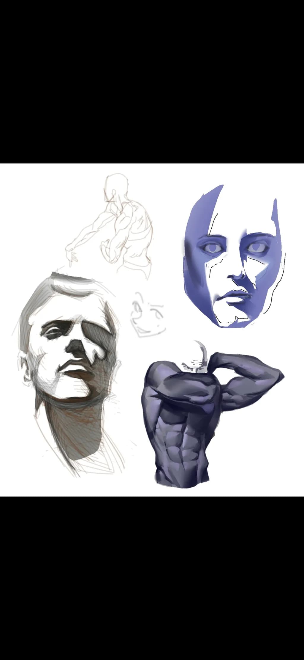 Anatomy Study Series
