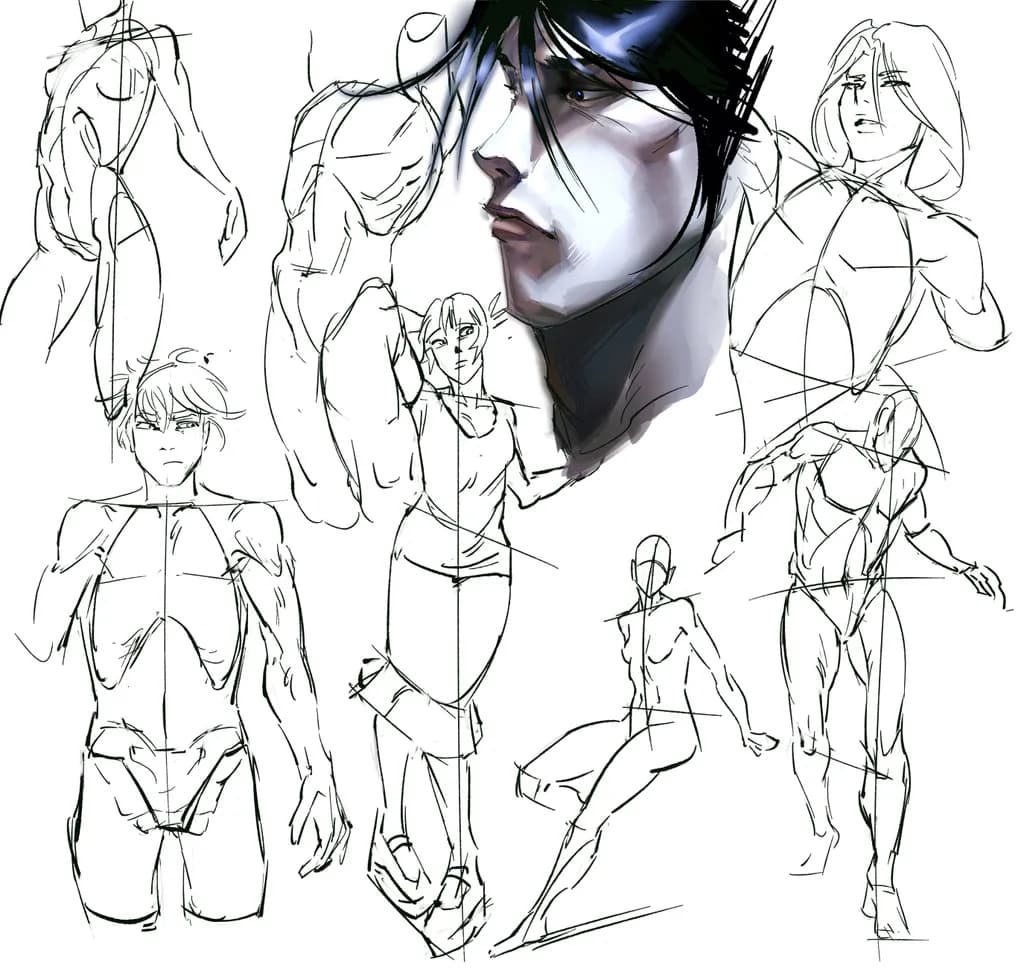 Gesture Anatomy Studies