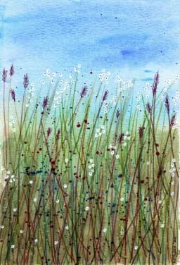 Wildflowers Meadow