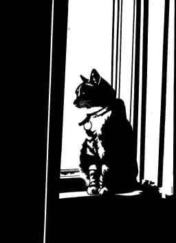Bonnie Silhouette