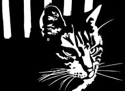 Striped Gaze