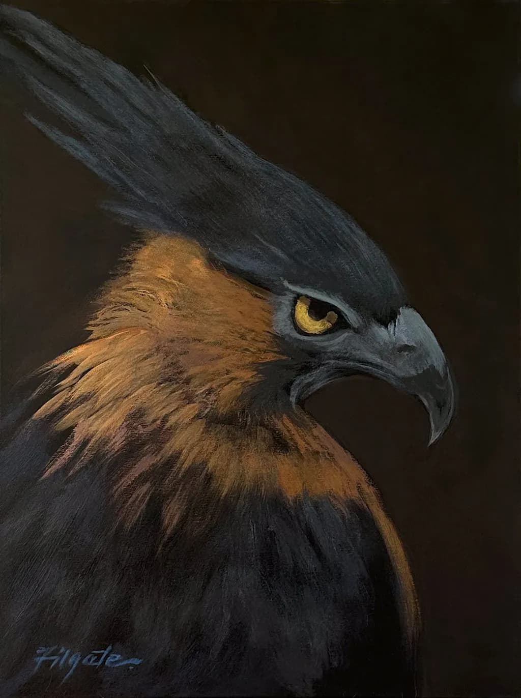 Eagle-Hawk Portrait